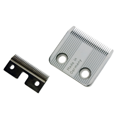 Elleebana, копия, копия - 2026-03-11T150430.007