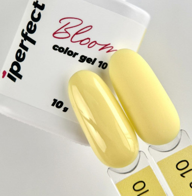 5382237863715477294