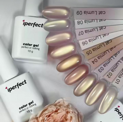 WhatsApp Image 2026-05-28 at 13.04.49