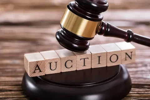 Notice of Second Open Auction for Sale of Motor Vehicle — Photo 1