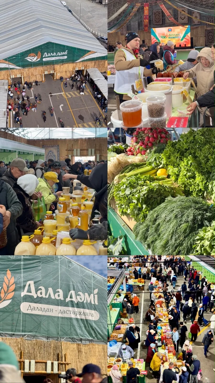 Қазақстан бойынша «Дала дәмі» жәрмеңкелерінде 7,5 мың тоннадан астам өнім ұсынылды — Фотосурет 2