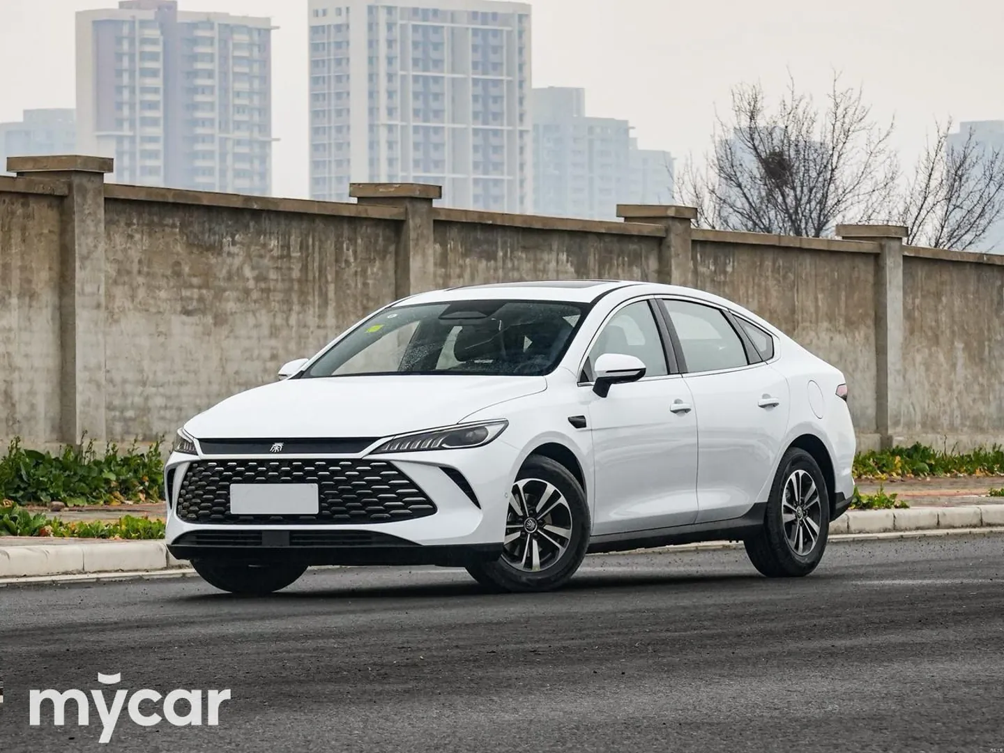 BYD QIN PLUS, 2025