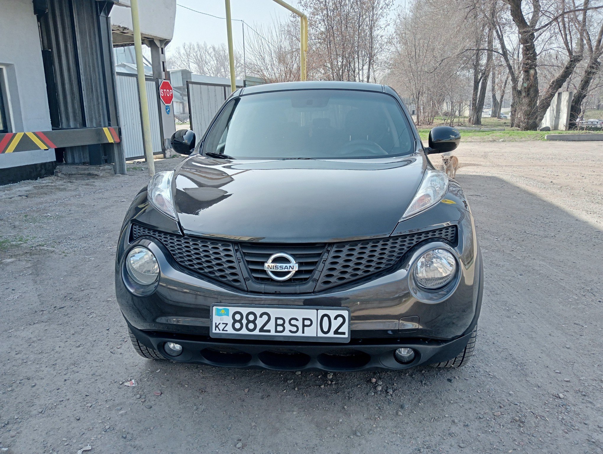 Nissan Juke 2011