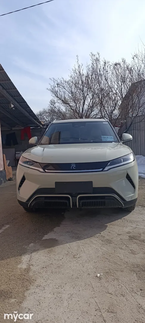BYD Yuan Up, 2024