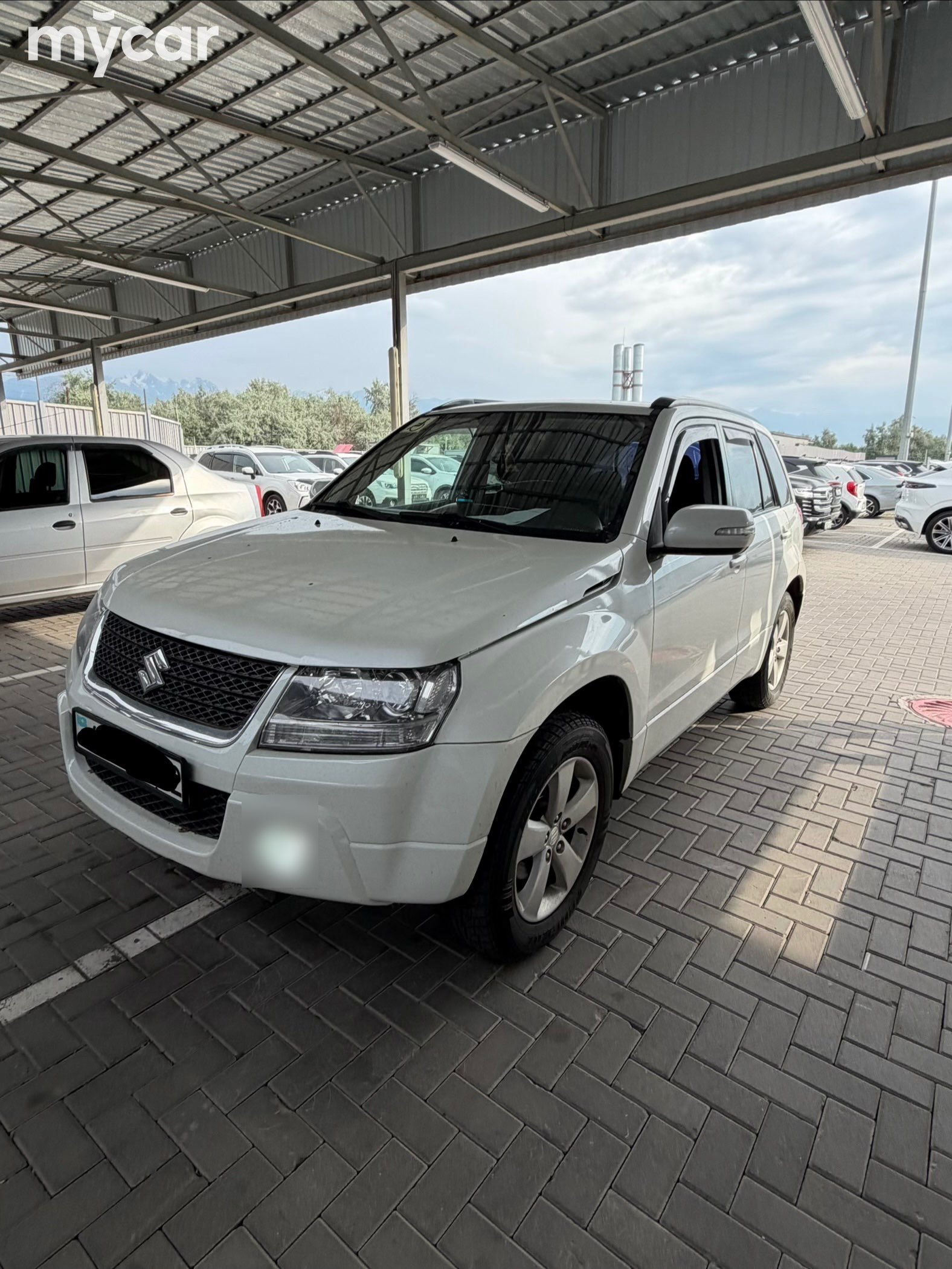 Suzuki Grand Vitara 2010