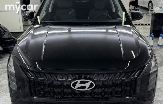 Hyundai Mufasa 2025