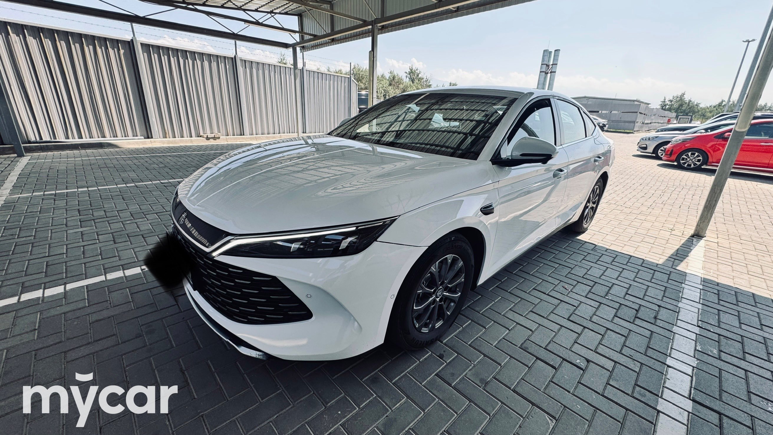 BYD Qin, 2025