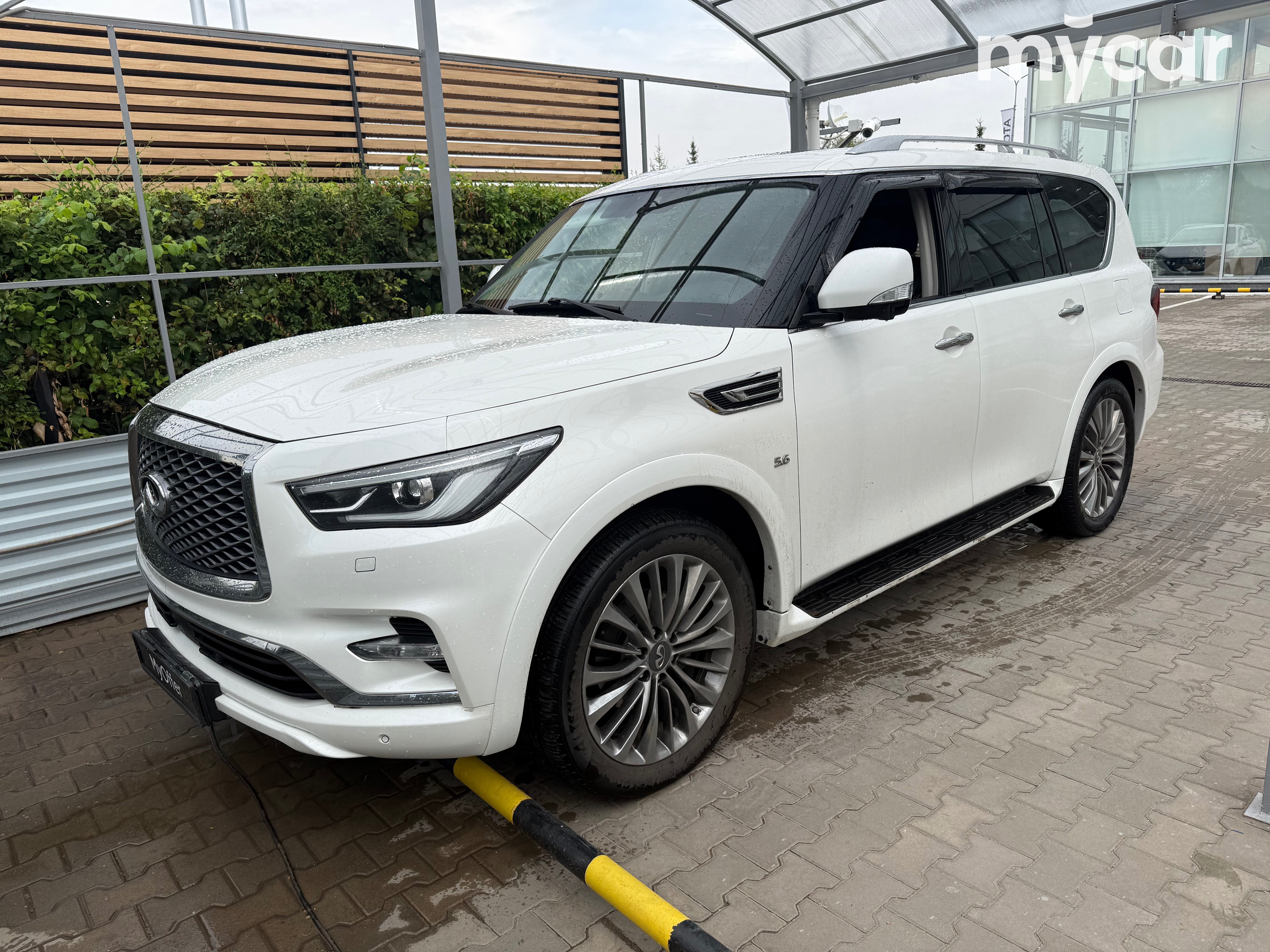 Infiniti QX80, 2019