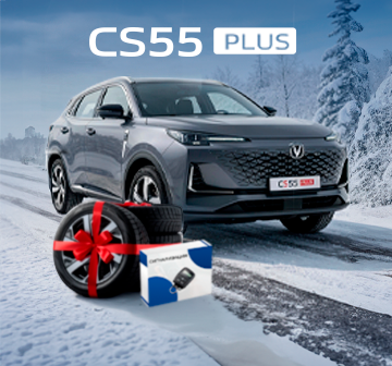 Зимняя резина + сигнализация