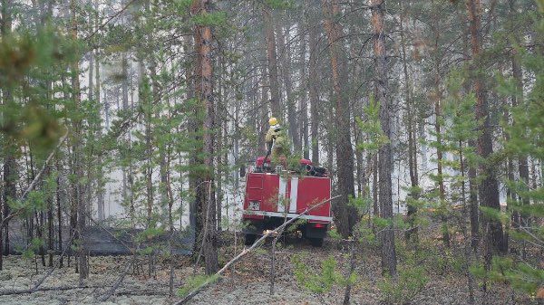 Открытое горение ликвидировали в «Семей орманы»: пожар охватил 370 гектаров