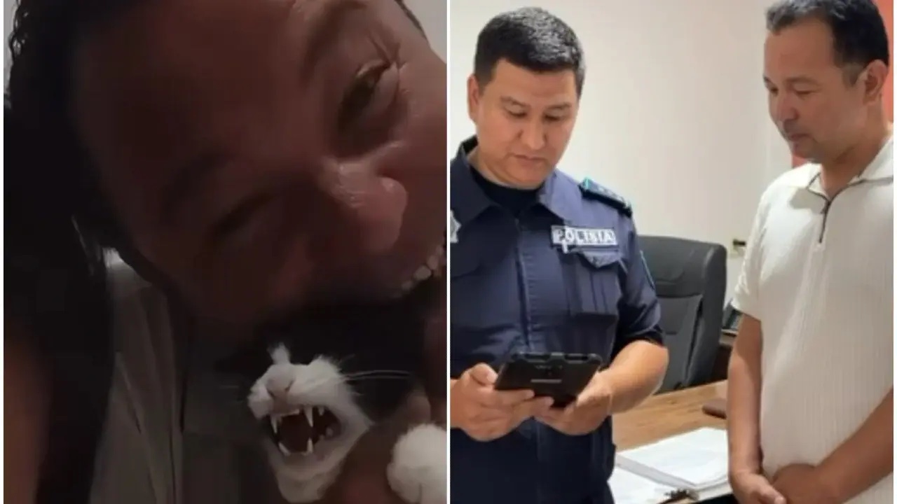 Казахстанца оштрафовали за жестокое обращение с кошкой в прямом эфире TikTok
