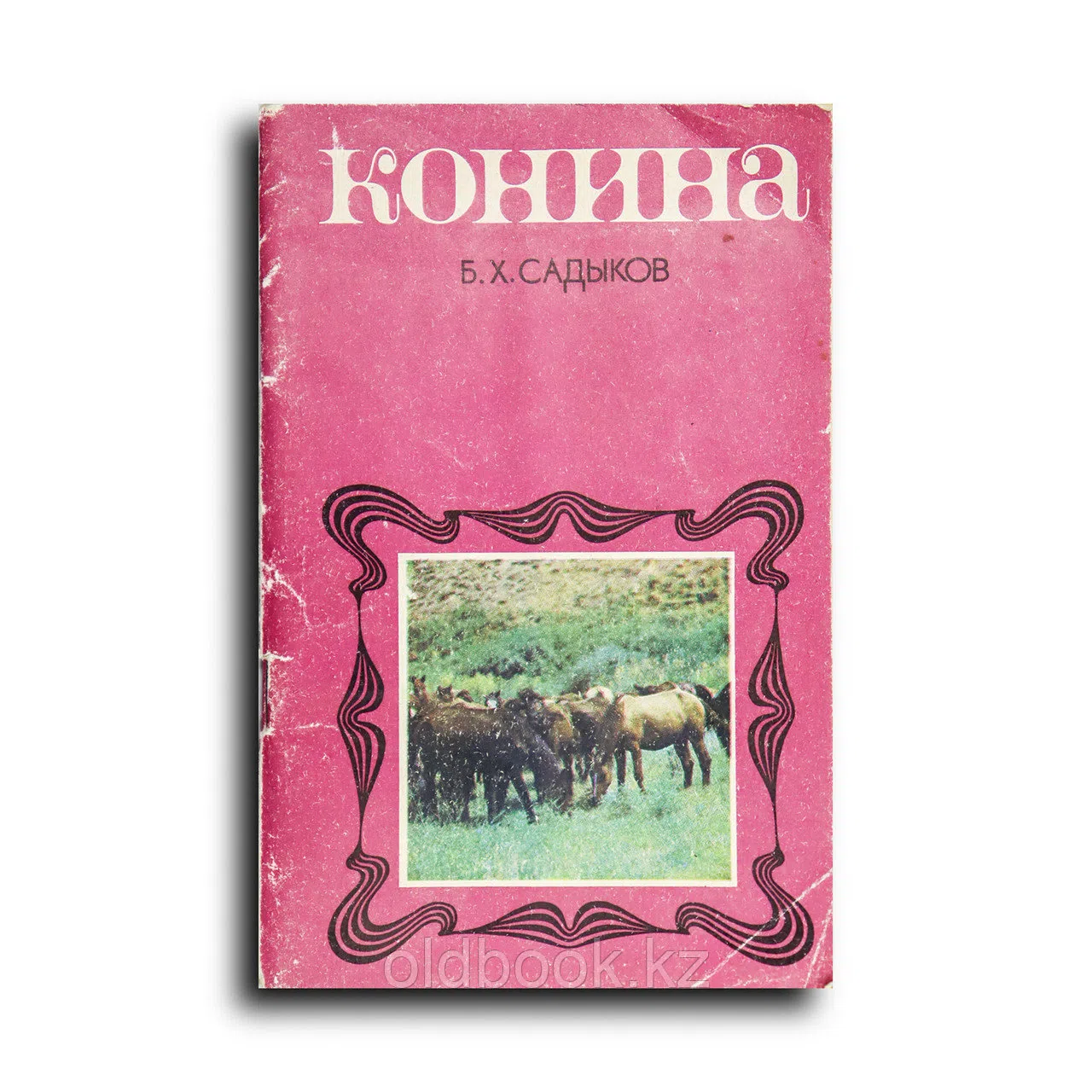Садыков Байдулла. Конина