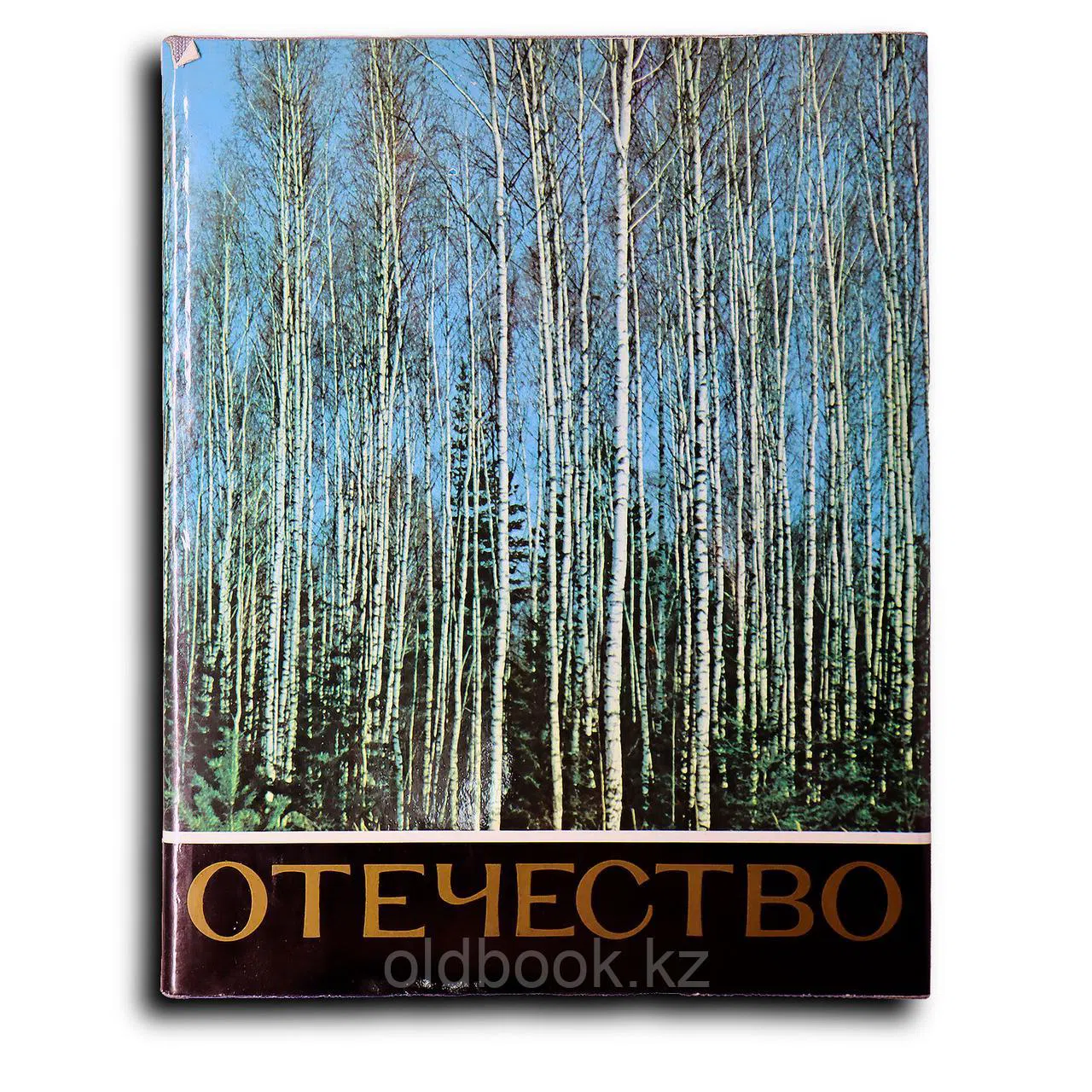 Песков Василий. Отечество