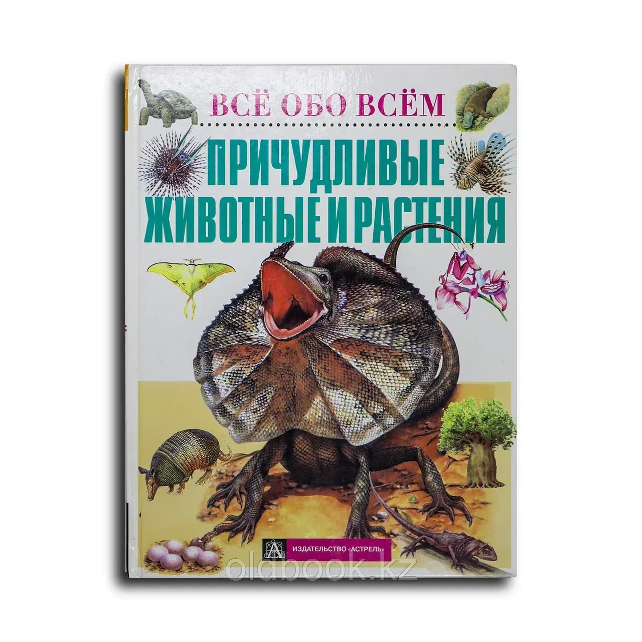 Анита Ганери. Причудливые животные и растения