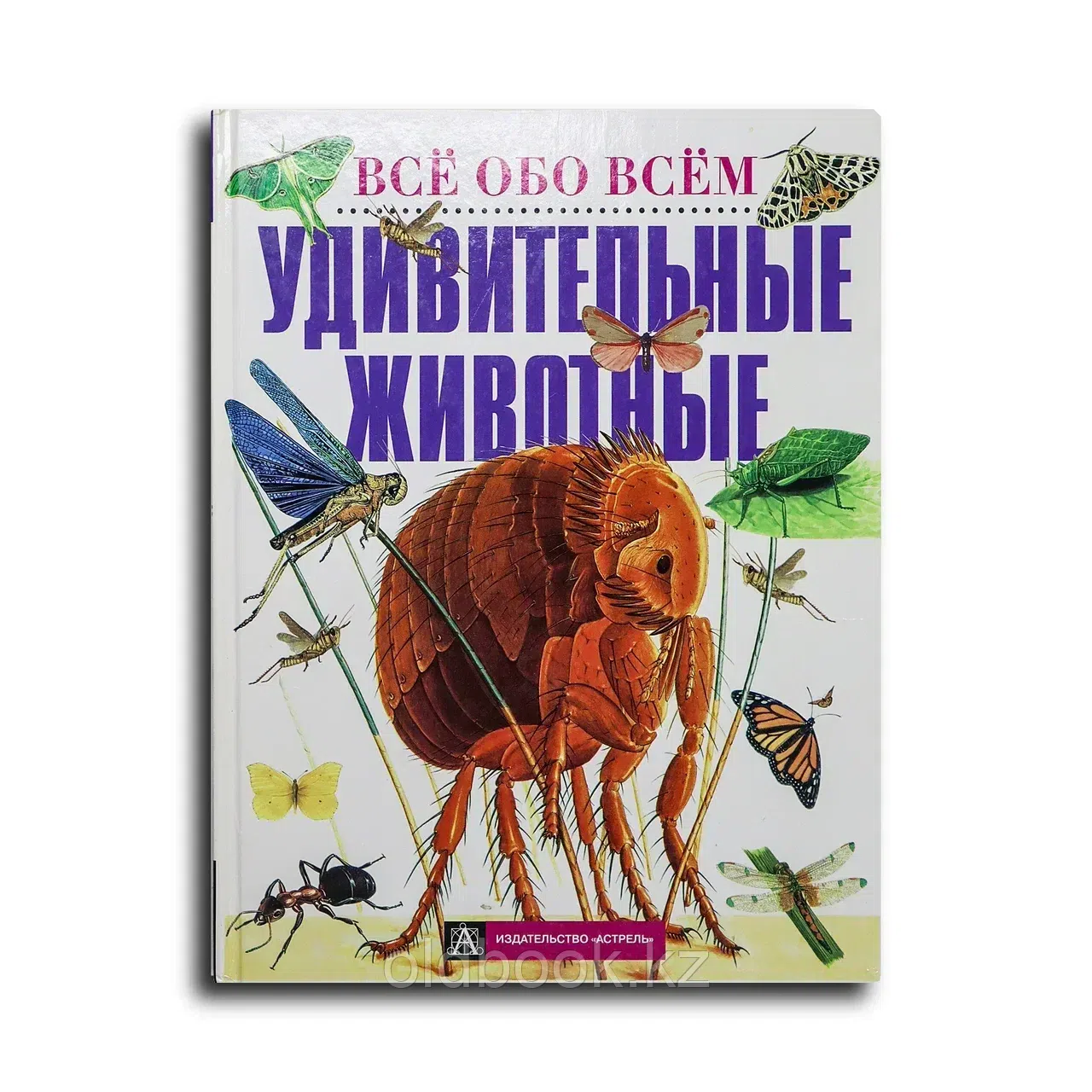 Джинни Джонсон. Удивительные животные