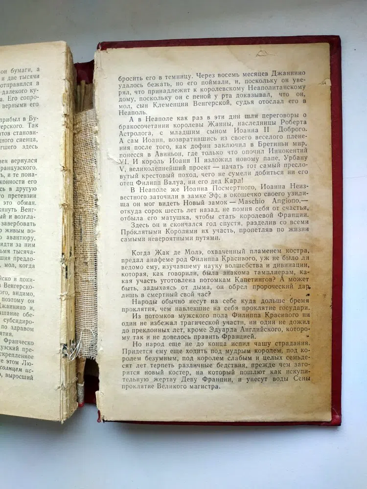 Дрюон Морис. Французская волчица. Лилия и лев
