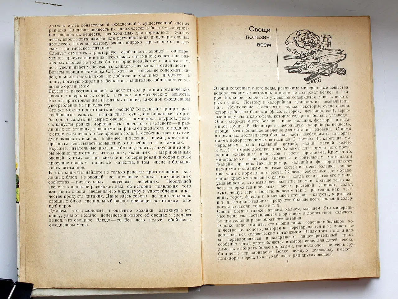Шабыкина Л.В. Овощи, полезные всем