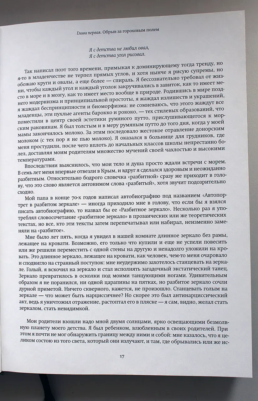 Пепперштейн Павел. Эксгибиционист: германский роман