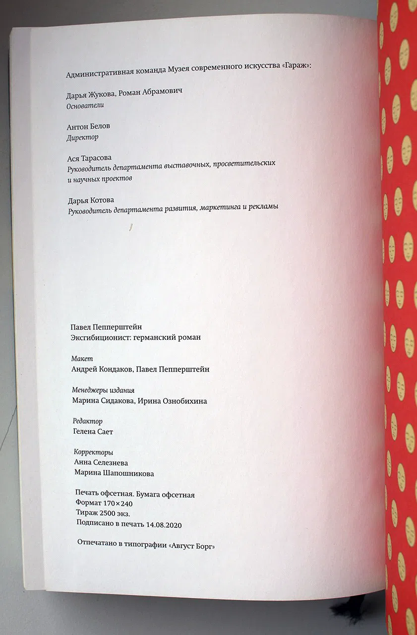 Пепперштейн Павел. Эксгибиционист: германский роман