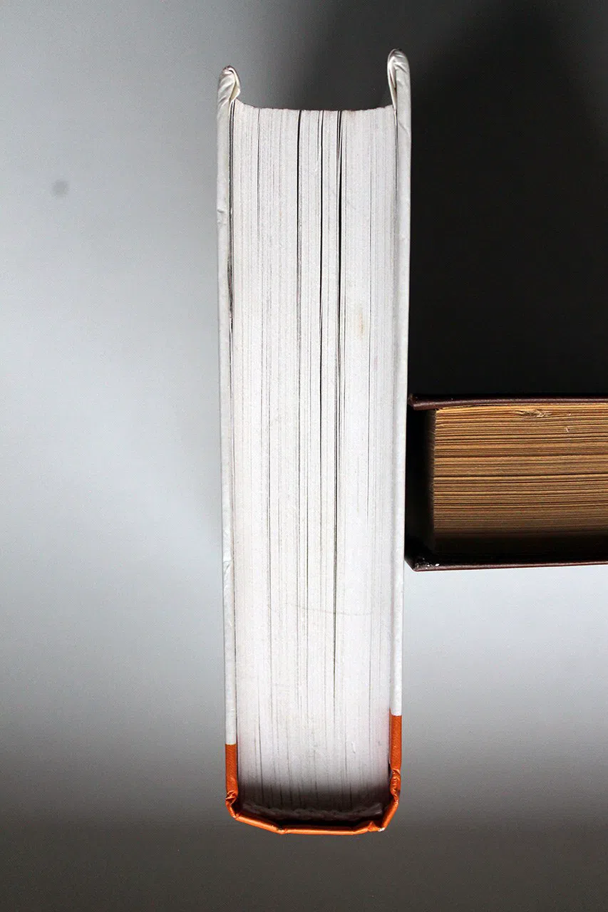 Акунин Борис. Детская книга