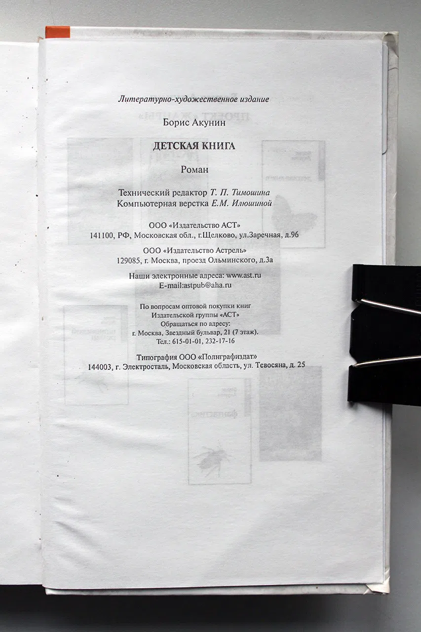 Акунин Борис. Детская книга