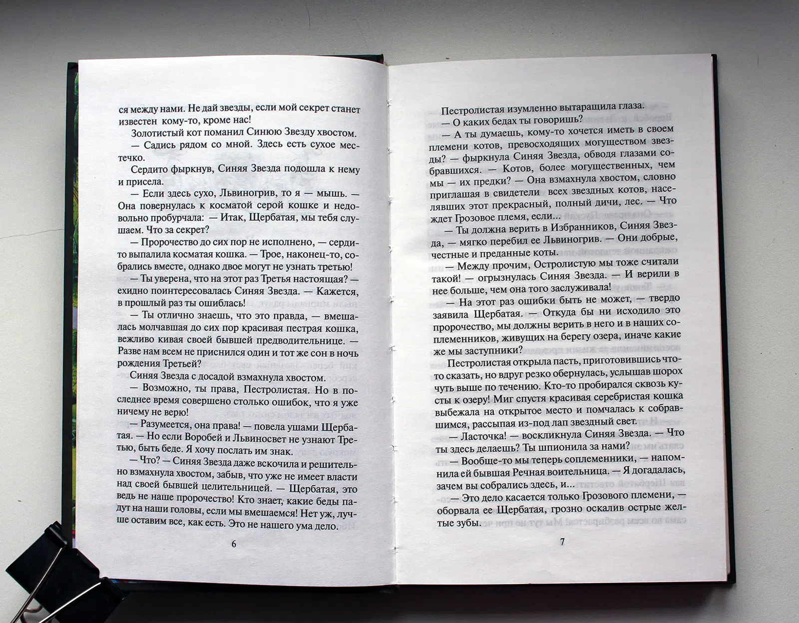 Хантер Эрин. Четвертый оруженосец