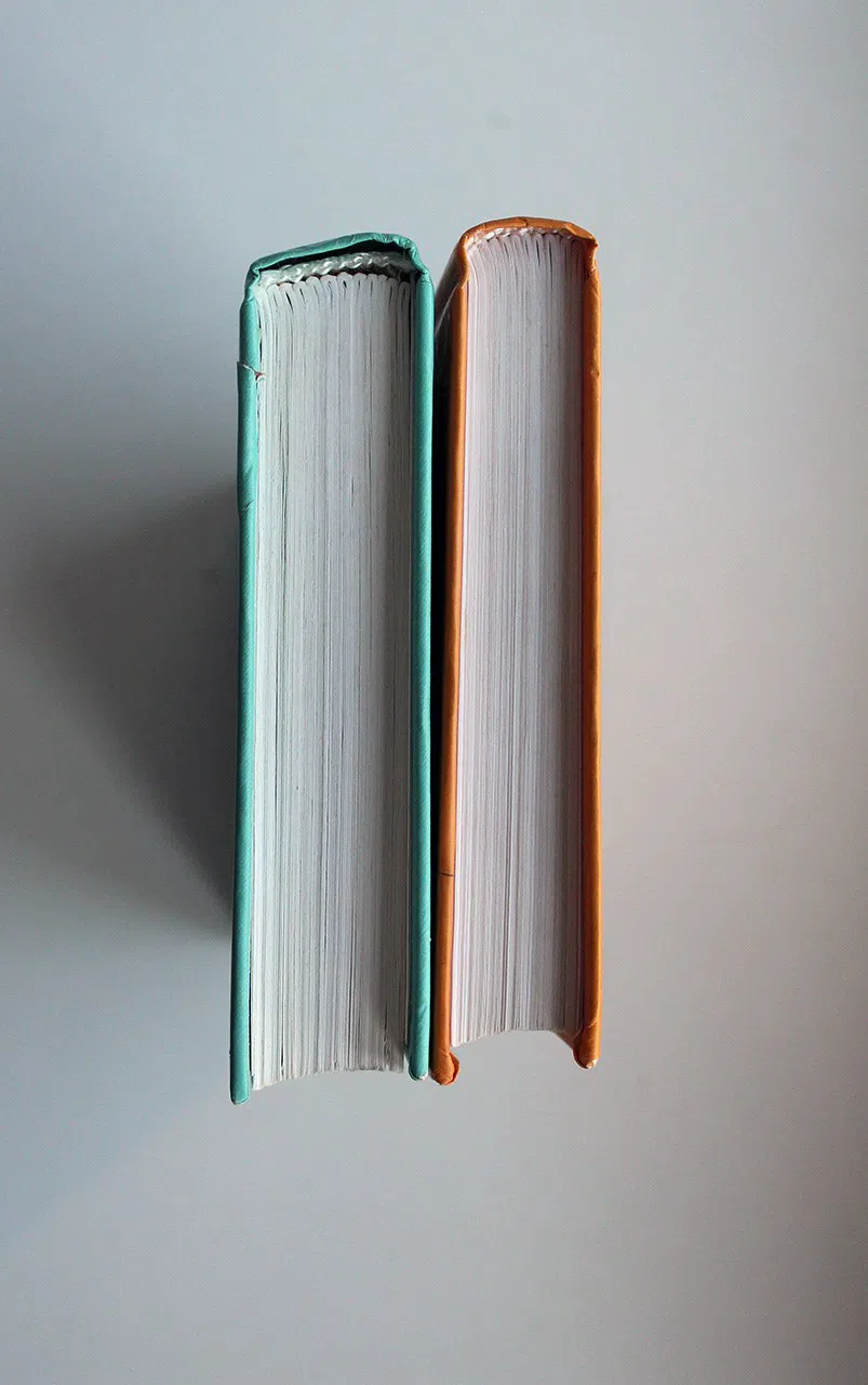 Мураками Харуки. Дэнс, дэнс, дэнс… 2 книги