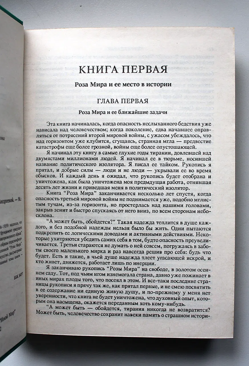 Андреев Даниил. Роза Мира