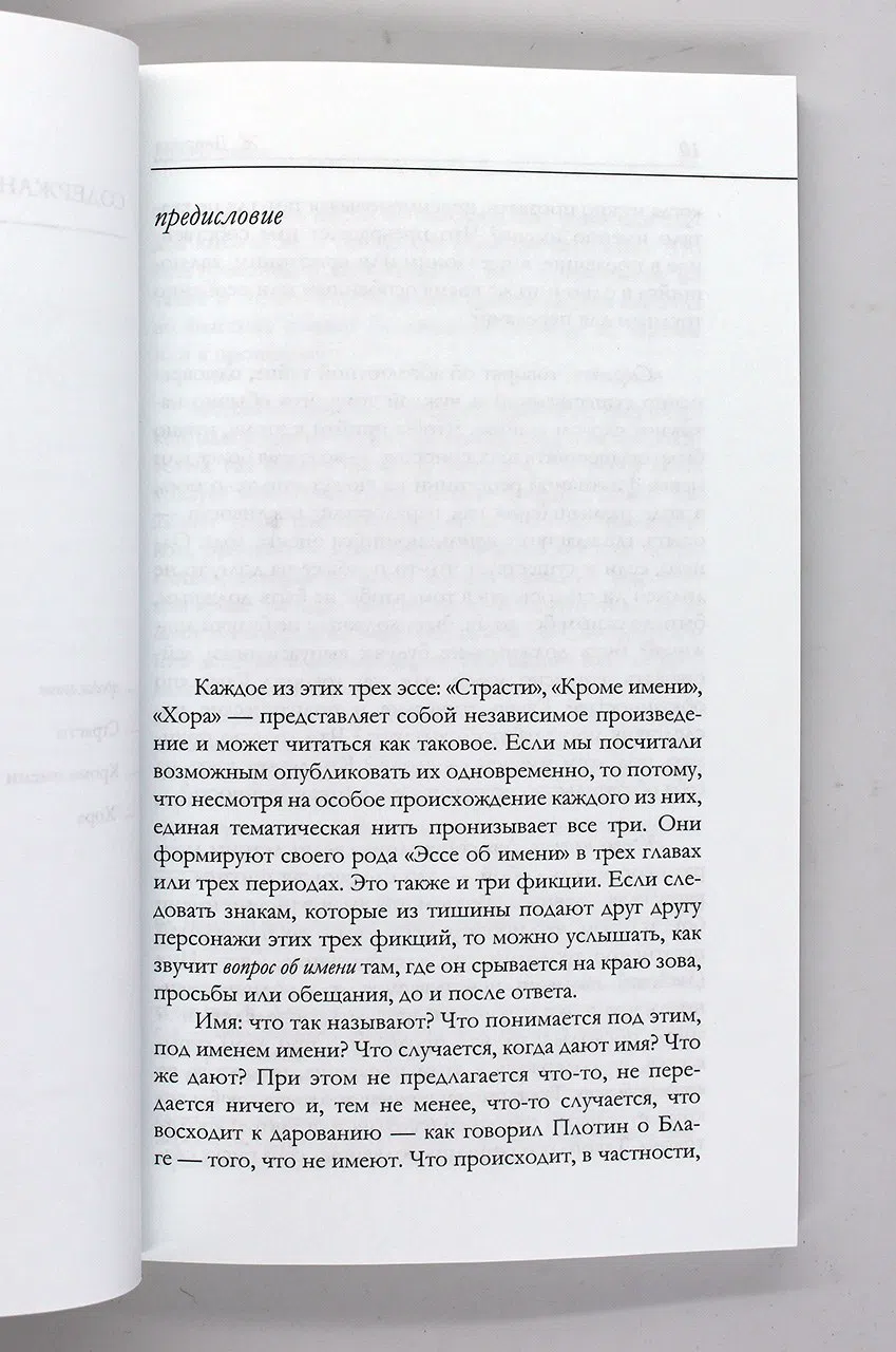 Деррида Жак. Эссе об имени