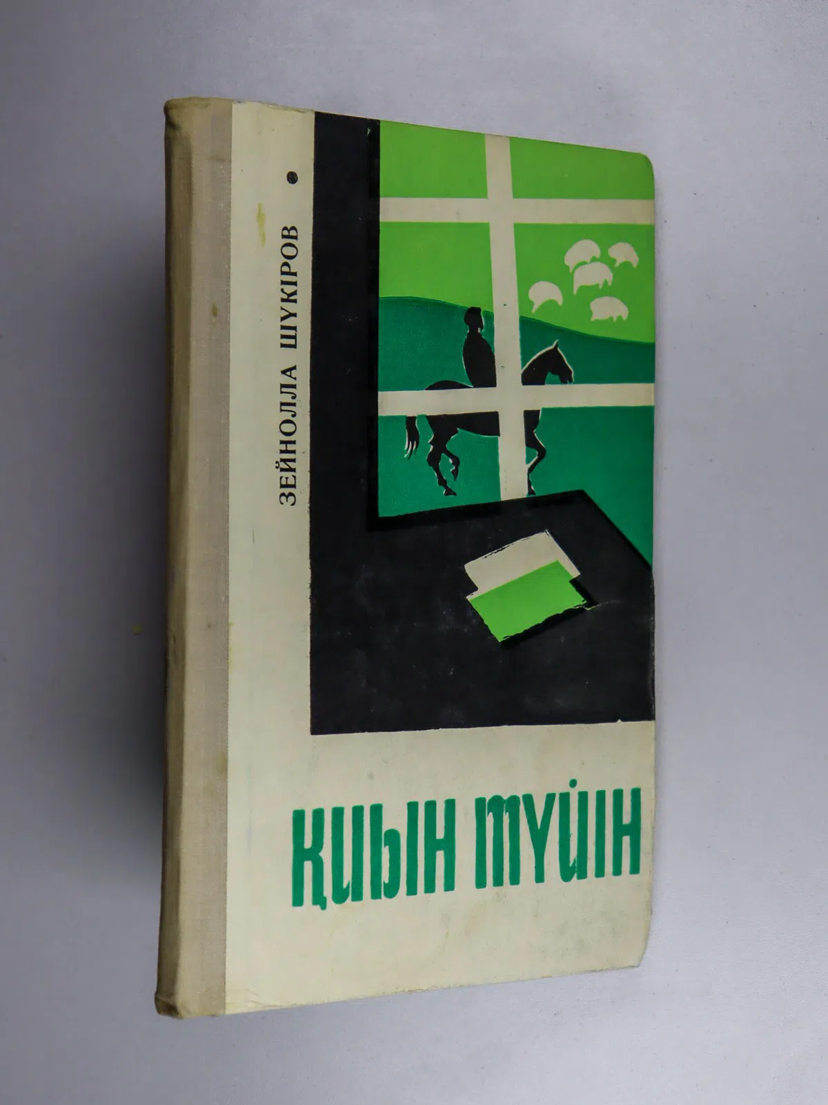 Шүкіров Зейнолла. Қиын түйін