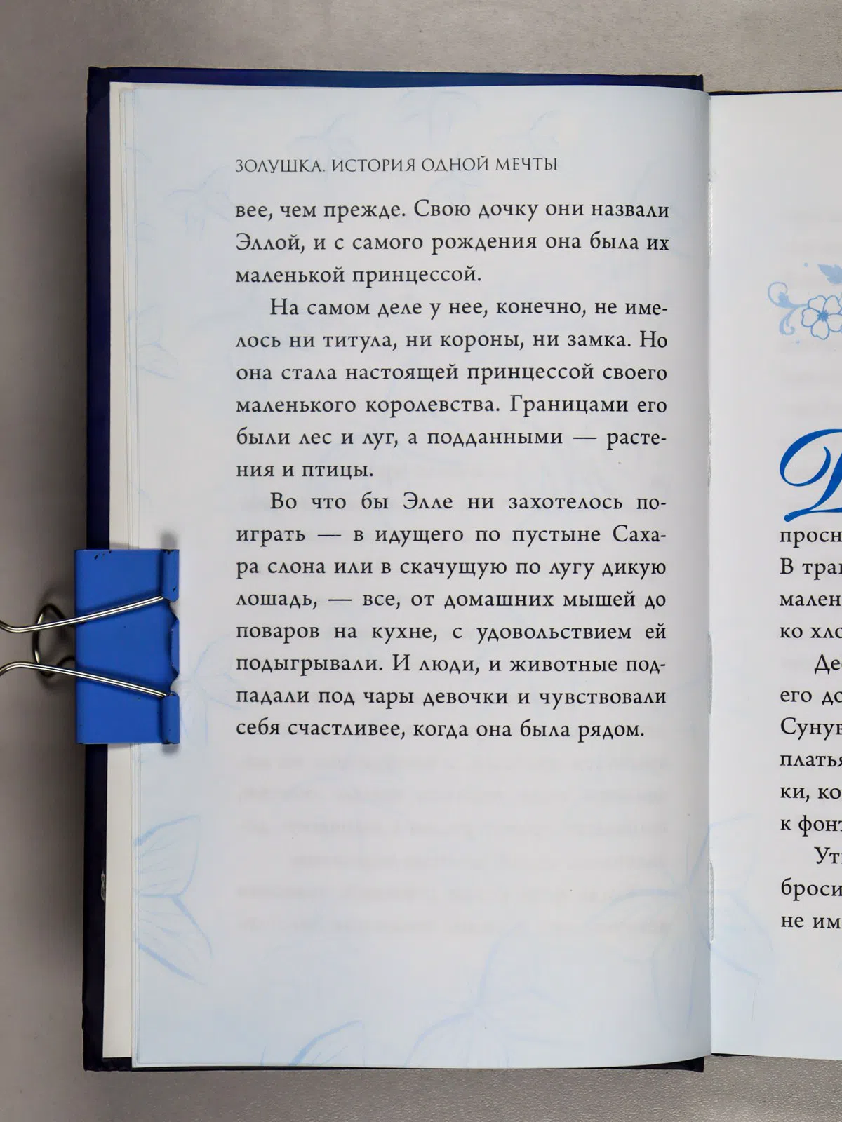 Рудник Элизабет. Золушка. История одной мечты