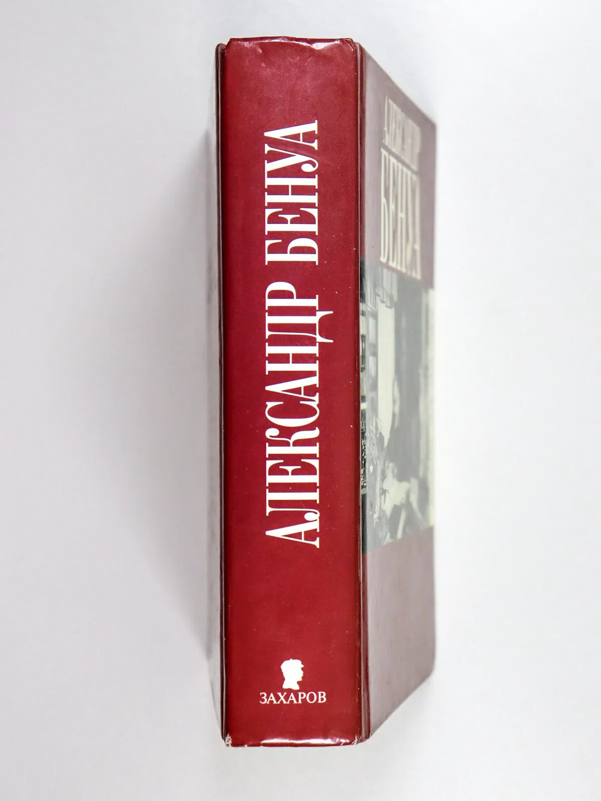 Бенуа Александр. Бенуа А.Н. Дневник 1916-1918 годов