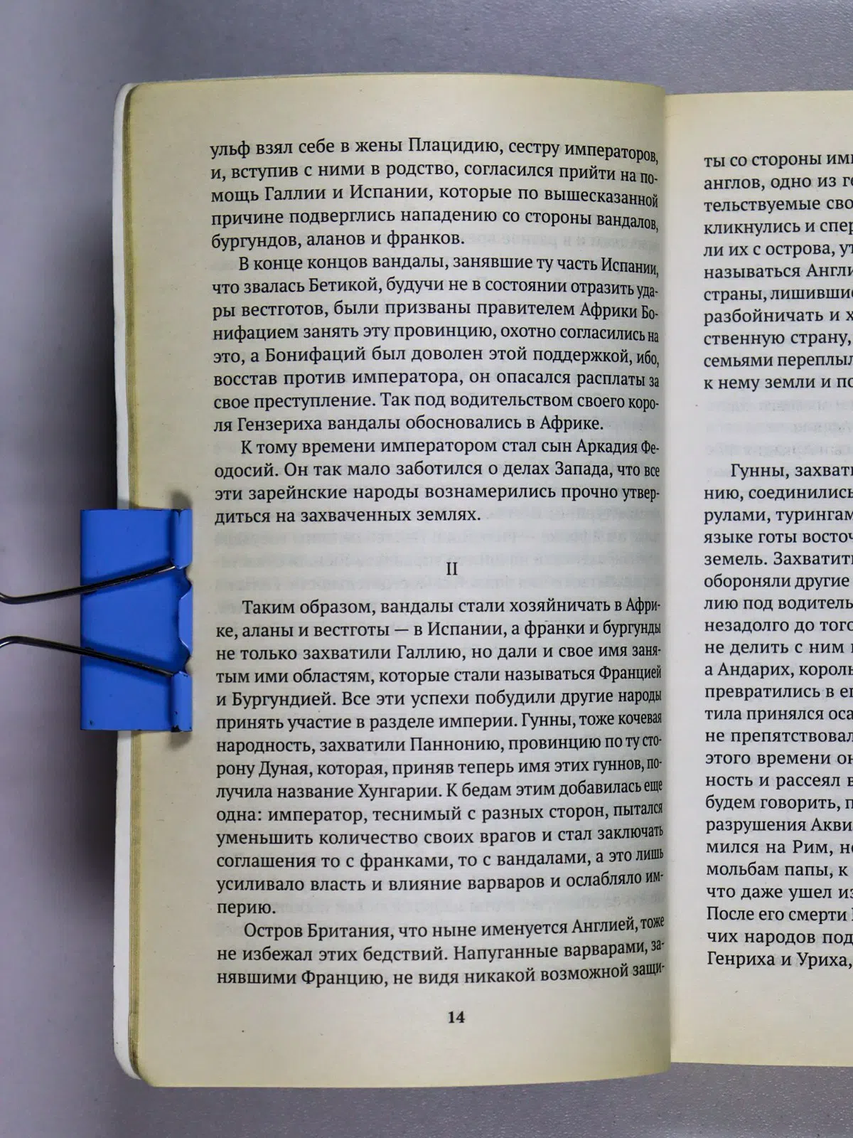 Макиавелли Никколо. История Флоренции