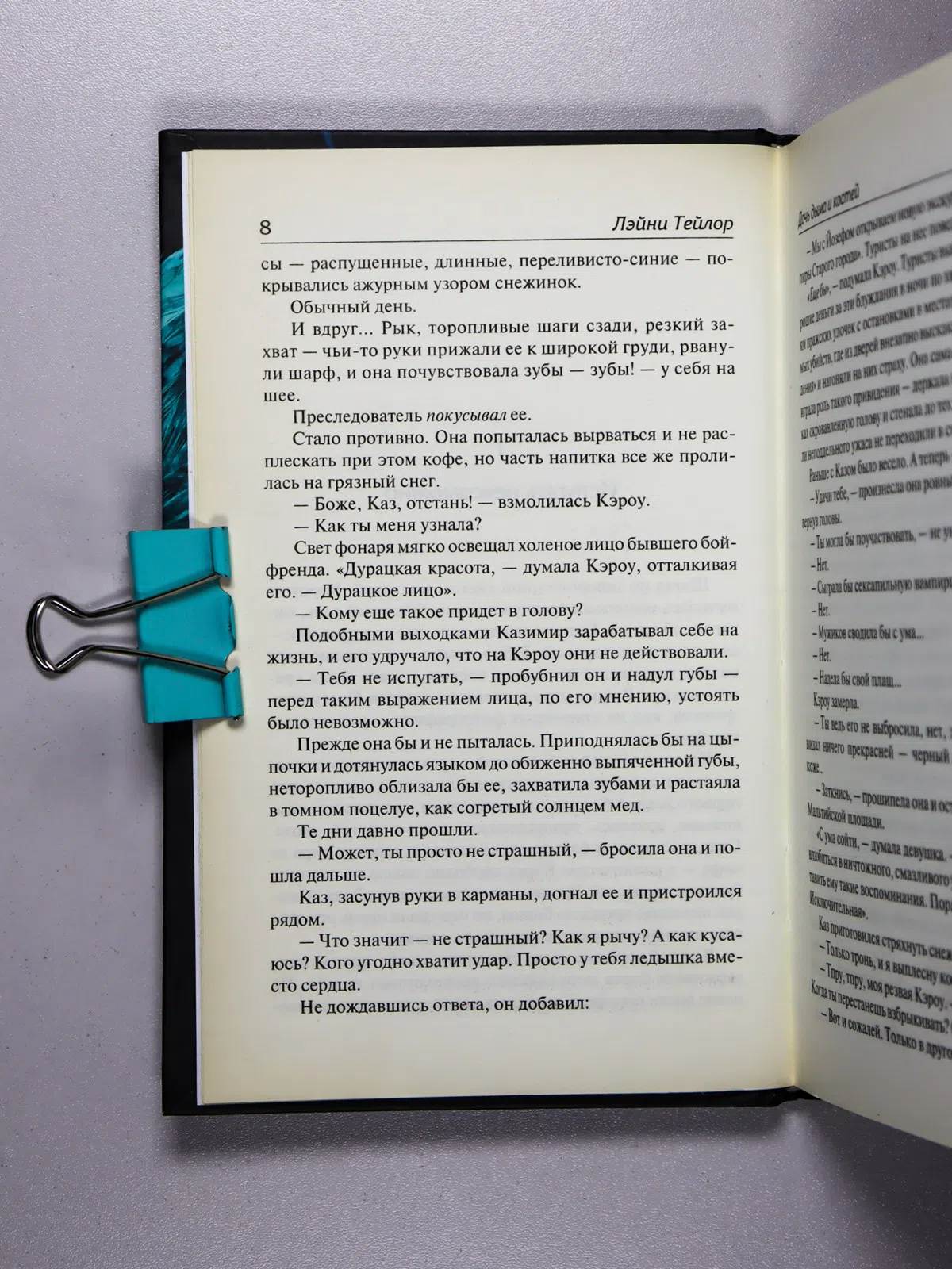 Тейлор Лэйни. Дочь дыма и костей