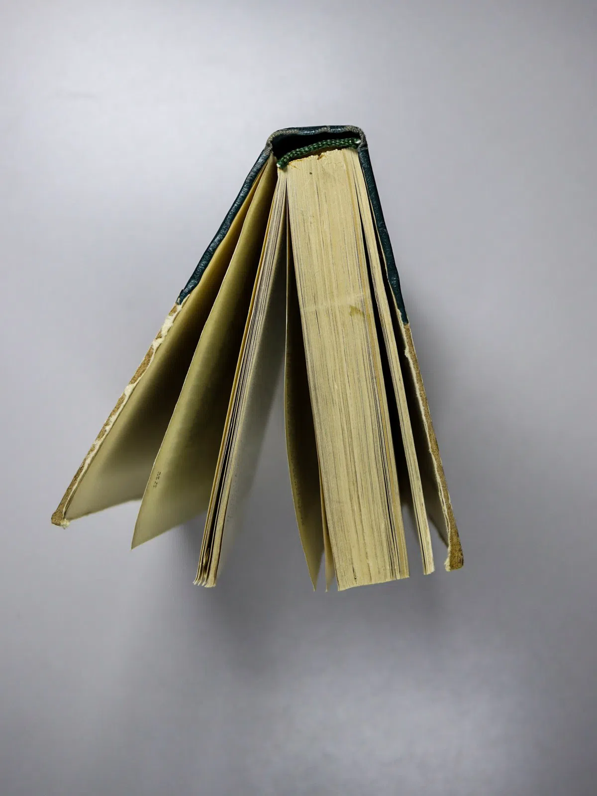 Лебедев Николай Алексеевич. Очерк истории кино СССР. Немое кино (1918–1934)
