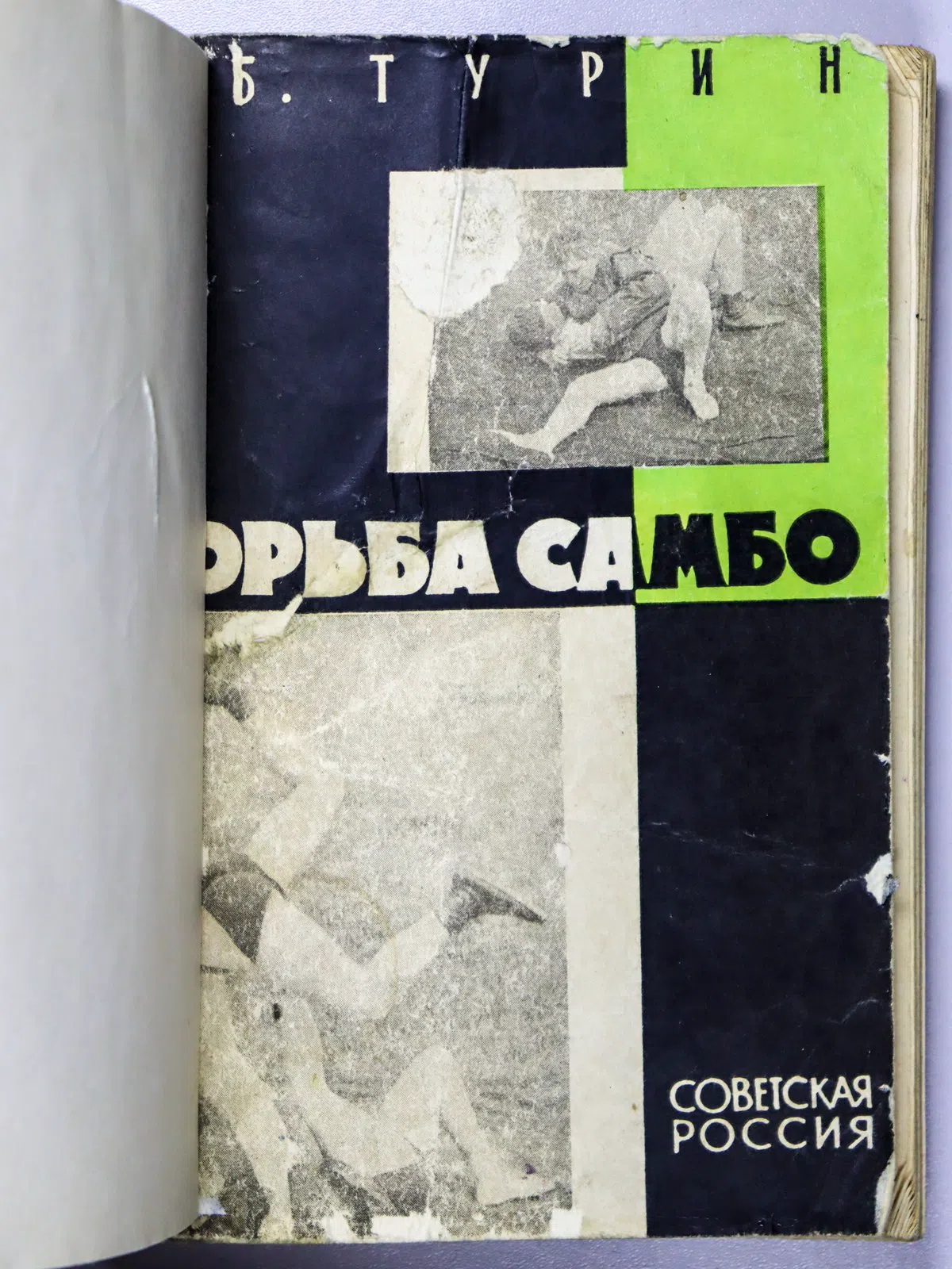 Турин Лев Борисович. Борьба самбо
