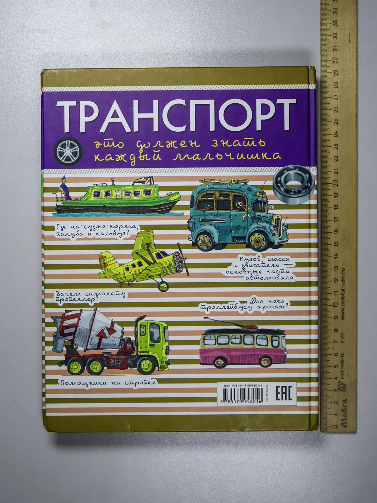 Мерников Андрей Геннадьевич, Филиппова Мира Дмитри. Транспорт. Это должен знать каждый мальчишка