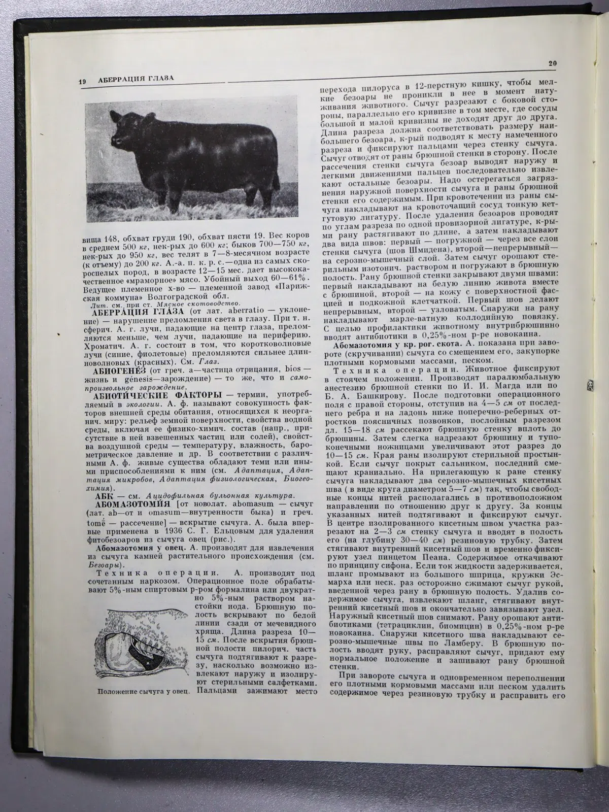 Энциклопедия. Ветеринарная энциклопедия в 6 томах