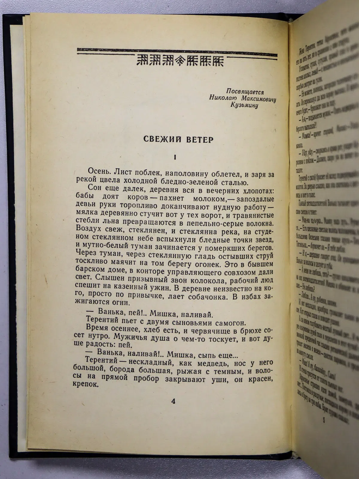 Шишков Вячеслав Яковлевич. Рассказы. Странники