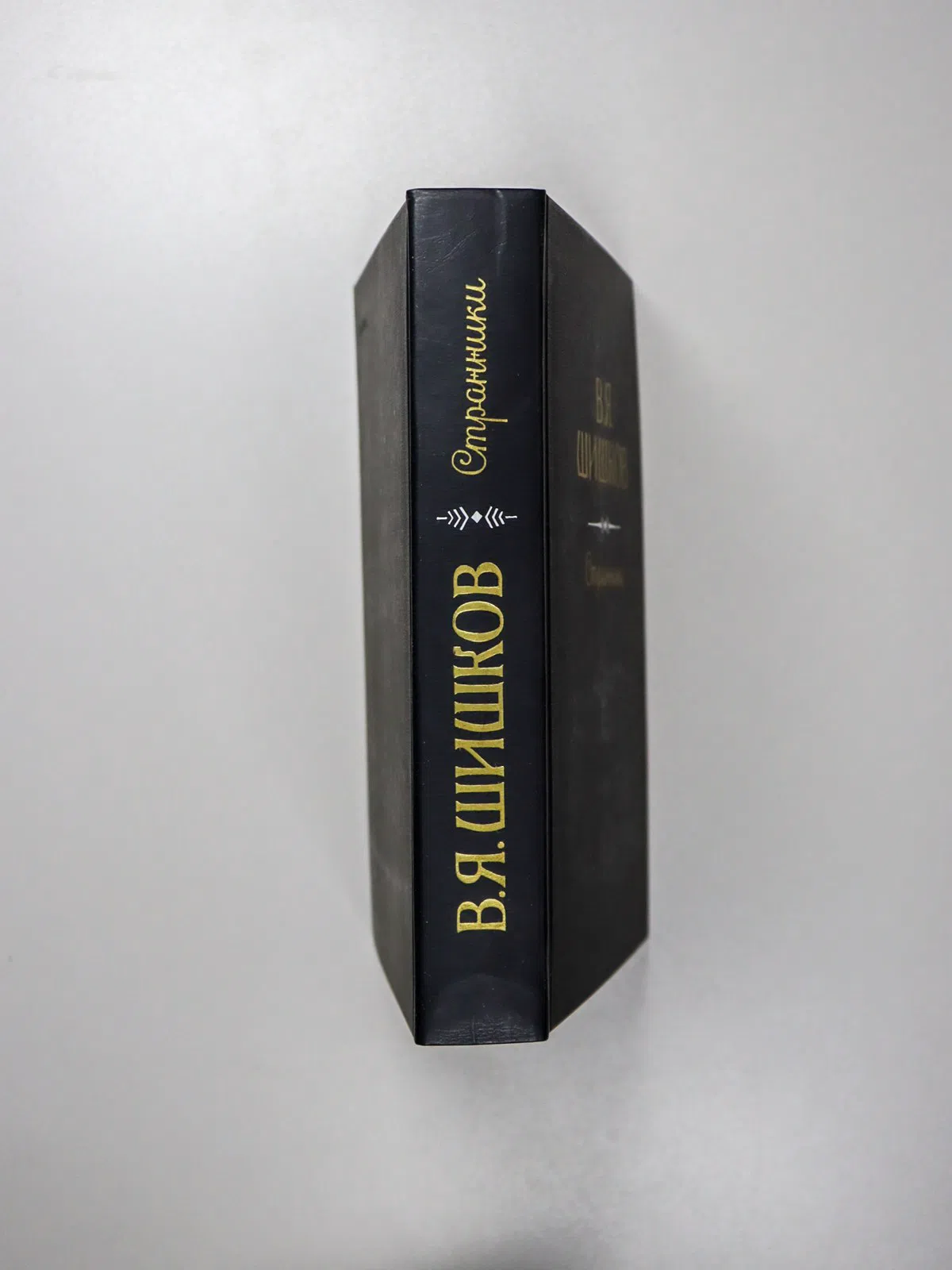 Шишков Вячеслав Яковлевич. Рассказы. Странники
