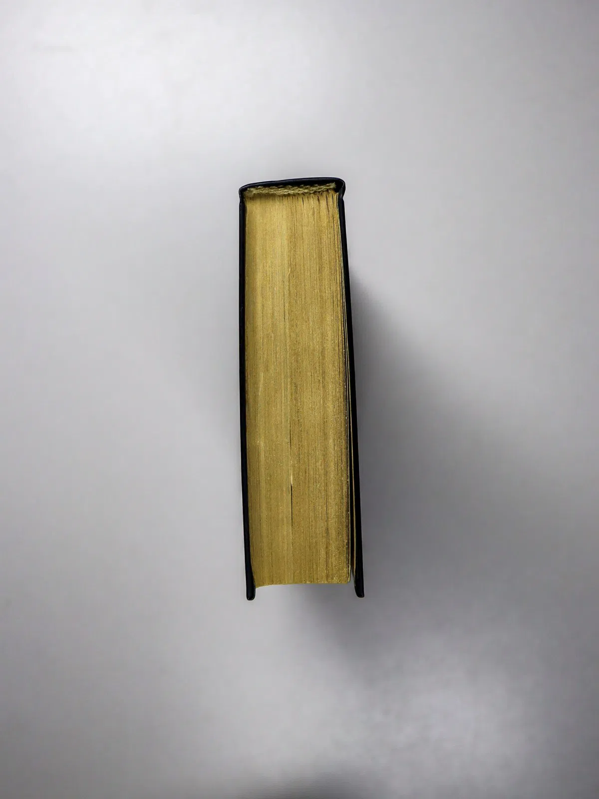 Шишков Вячеслав Яковлевич. Рассказы. Странники