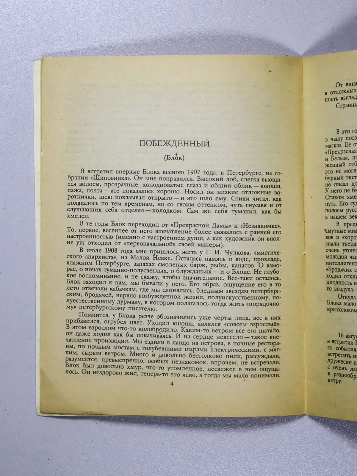 Зайцев Борис Константинович. Братья-писатели
