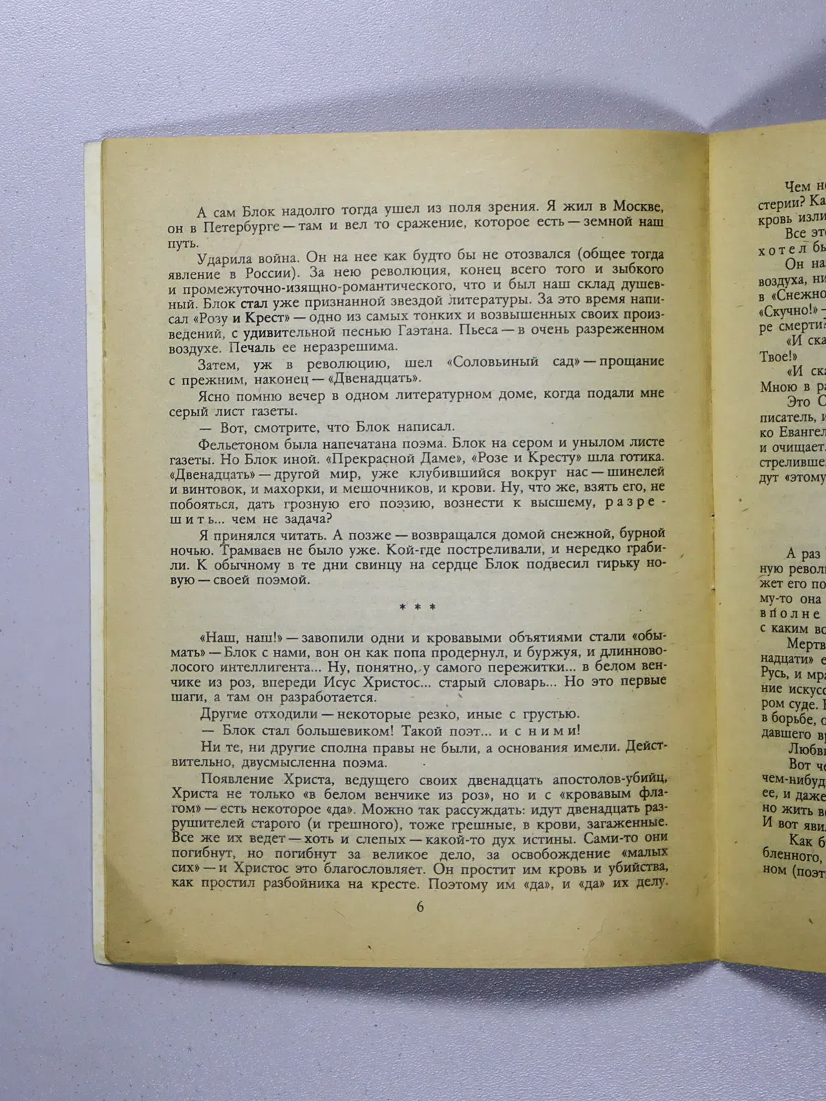 Зайцев Борис Константинович. Братья-писатели