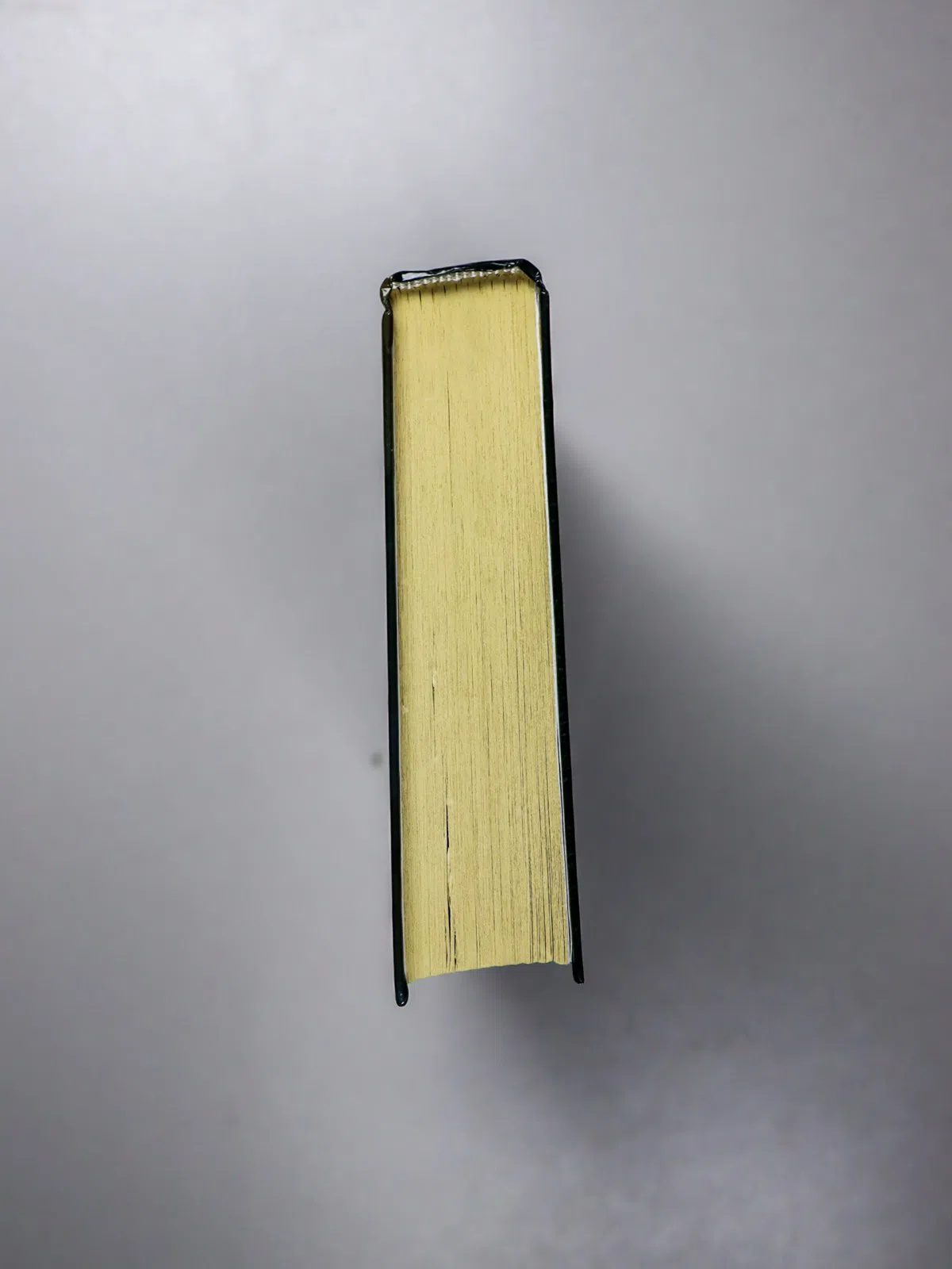 Завойчинская Милена Валерьевна. Высшая Школа Библиотекарей. Книгоходцы и тайна механического бога