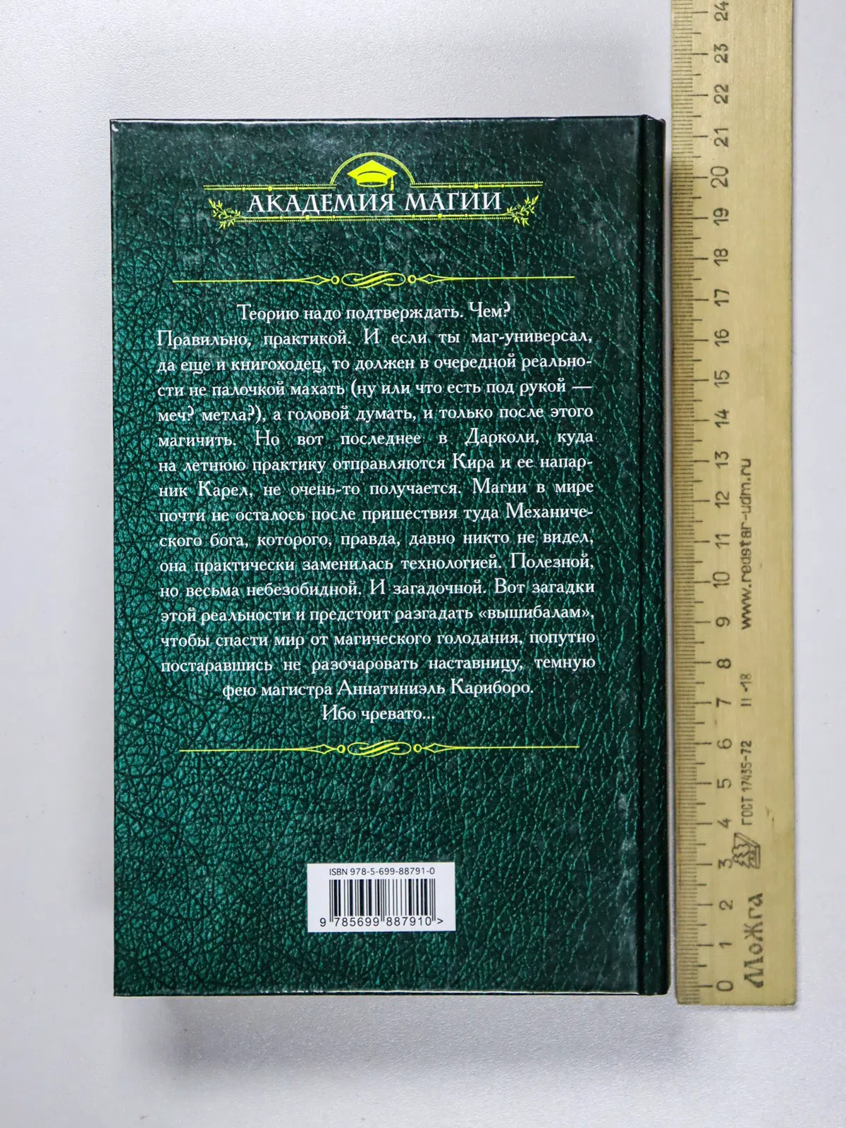 Завойчинская Милена Валерьевна. Высшая Школа Библиотекарей. Книгоходцы и тайна механического бога