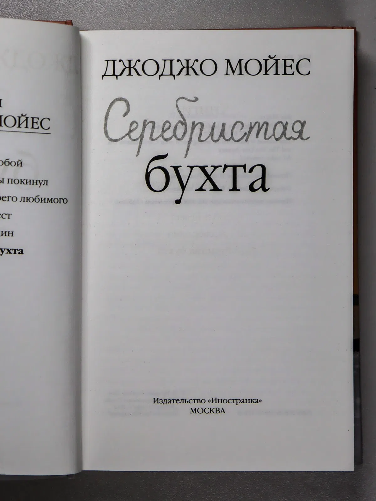 Мойес Джоджо. Серебристая бухта