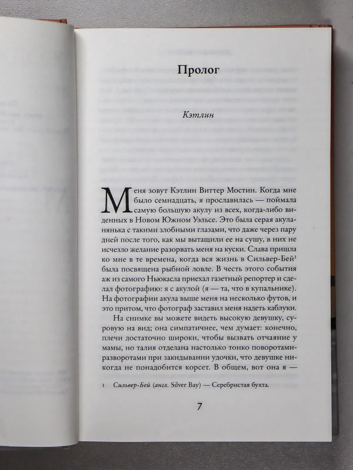 Мойес Джоджо. Серебристая бухта