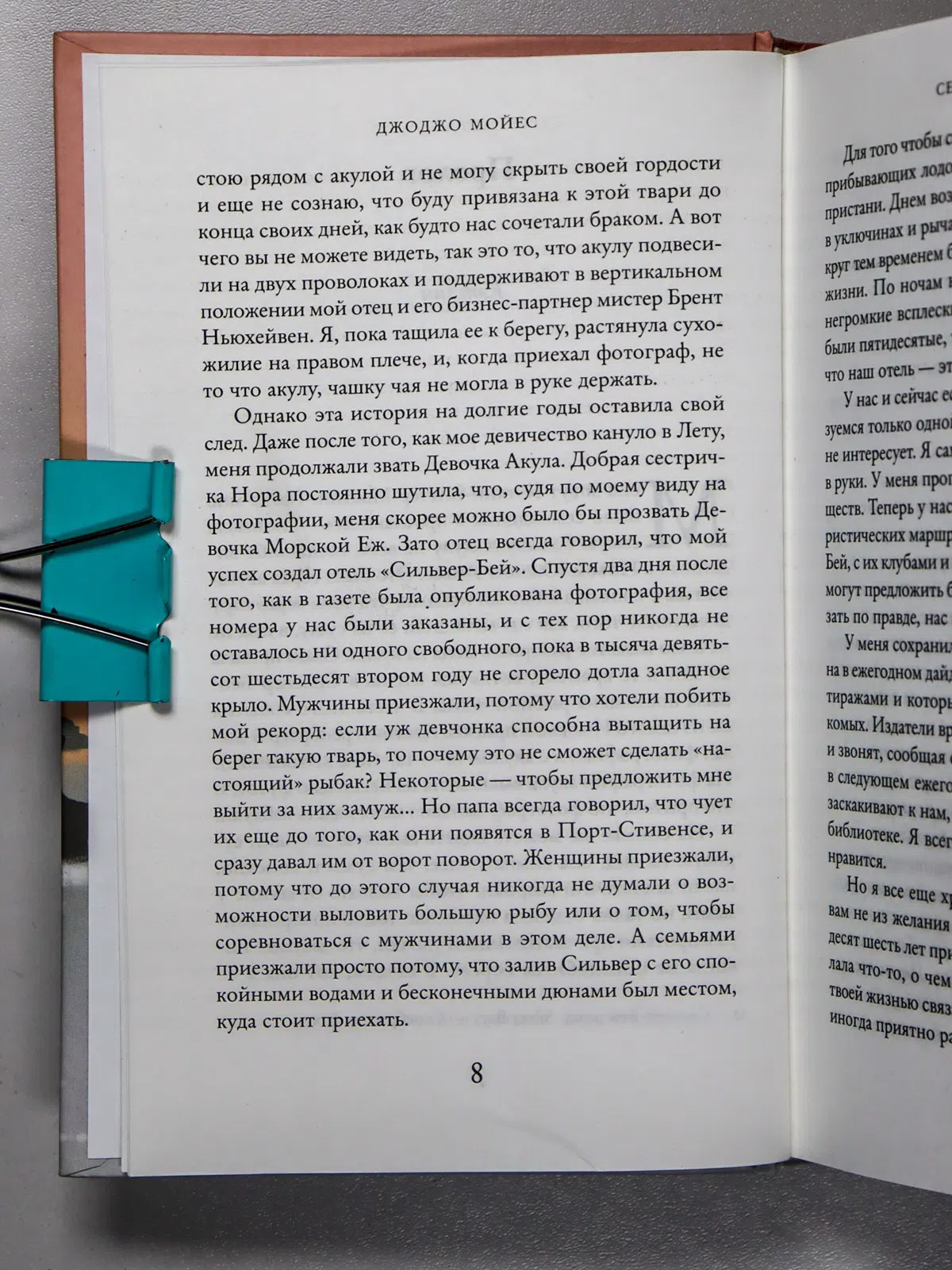 Мойес Джоджо. Серебристая бухта