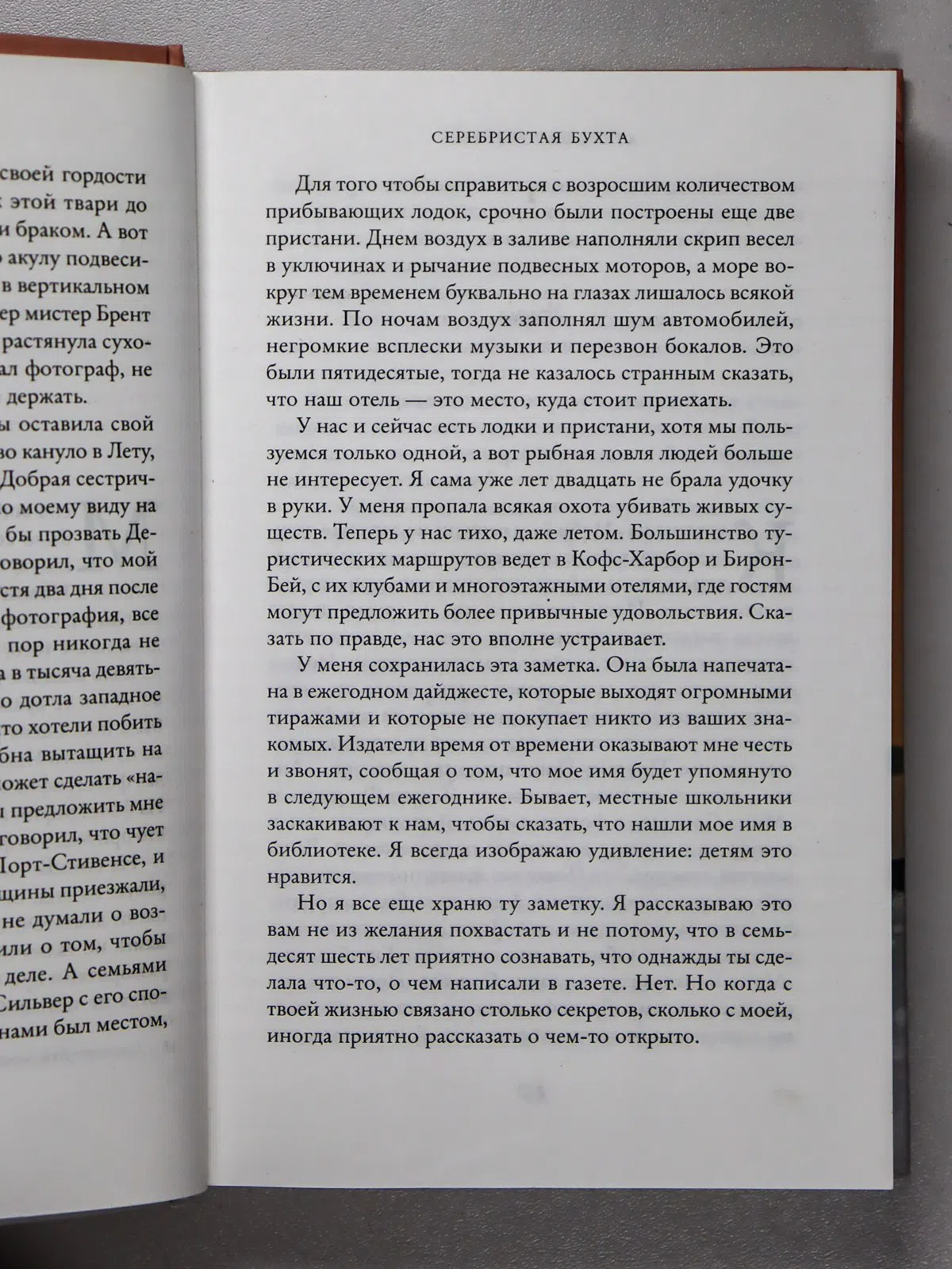 Мойес Джоджо. Серебристая бухта