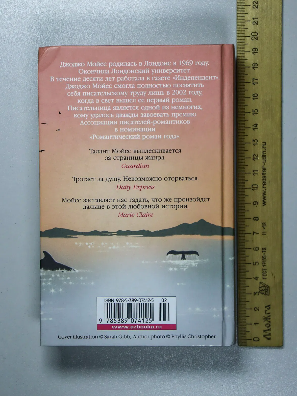 Мойес Джоджо. Серебристая бухта